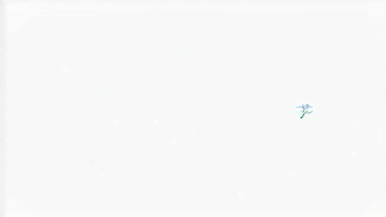 Meiotic And Mitotic Division