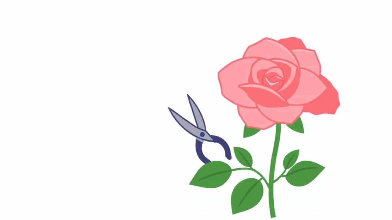 Midships Global Pte Ltd