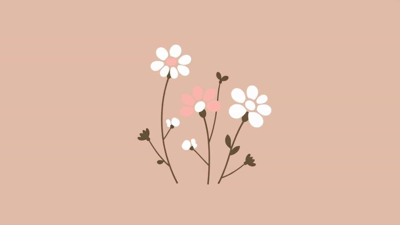 Missouri Synod Vs Elca