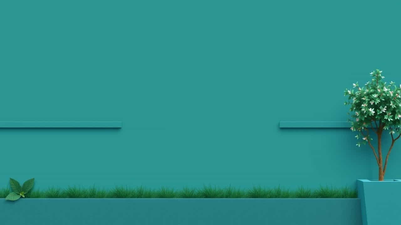 Modified Forms Of Putrefaction