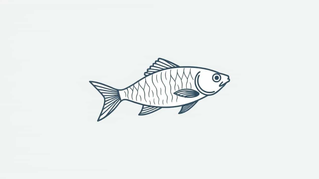 Monnierara Millennium Magic Witchcraft