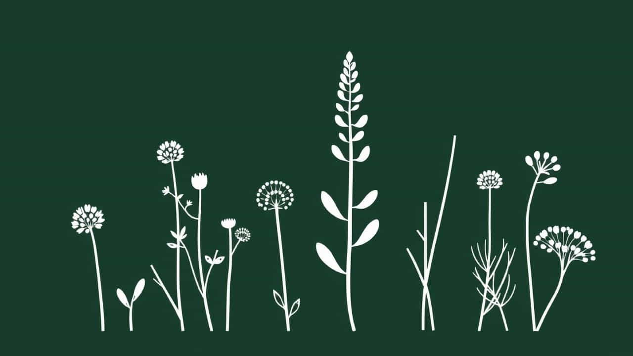 Most Intimidating Dog Breeds