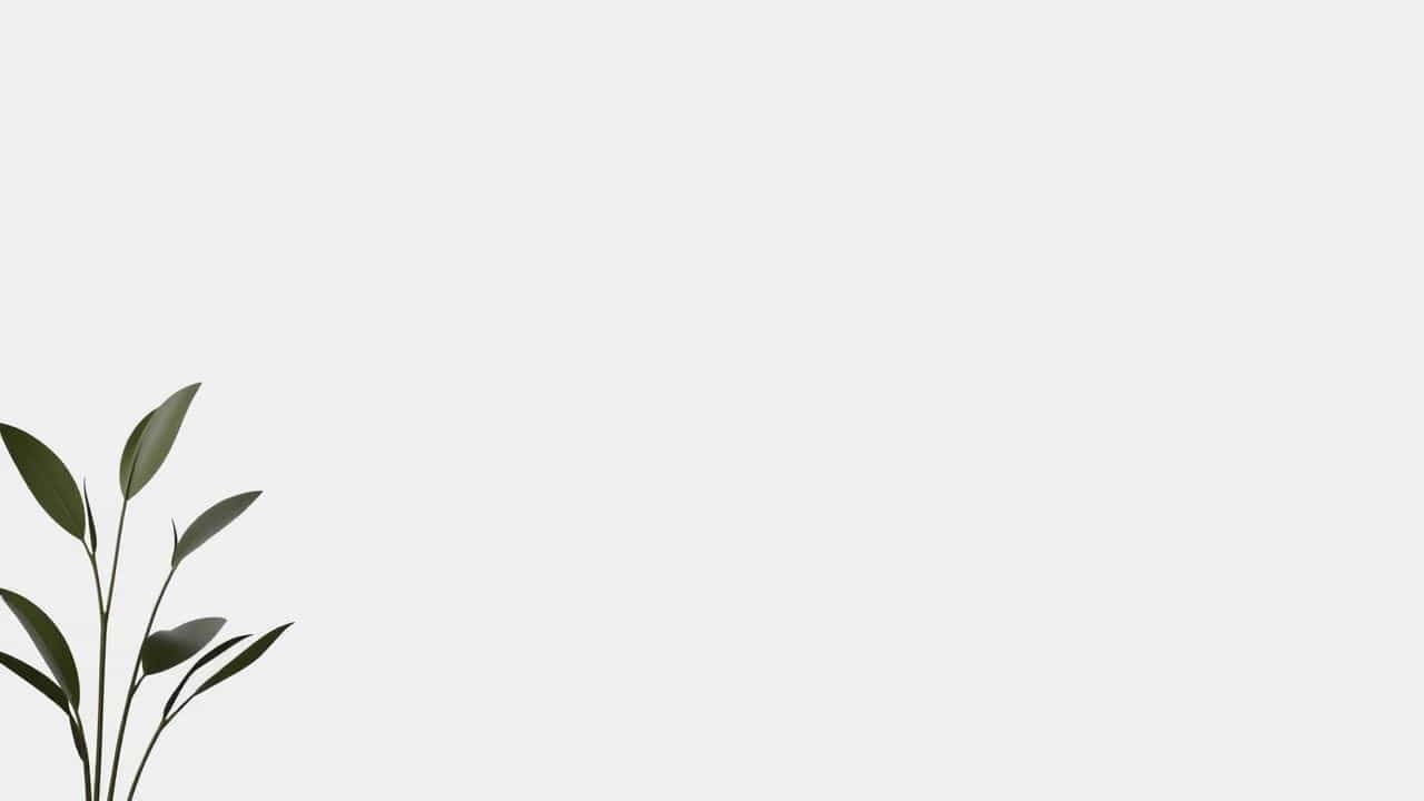 Mr. Sparkle Car Wash