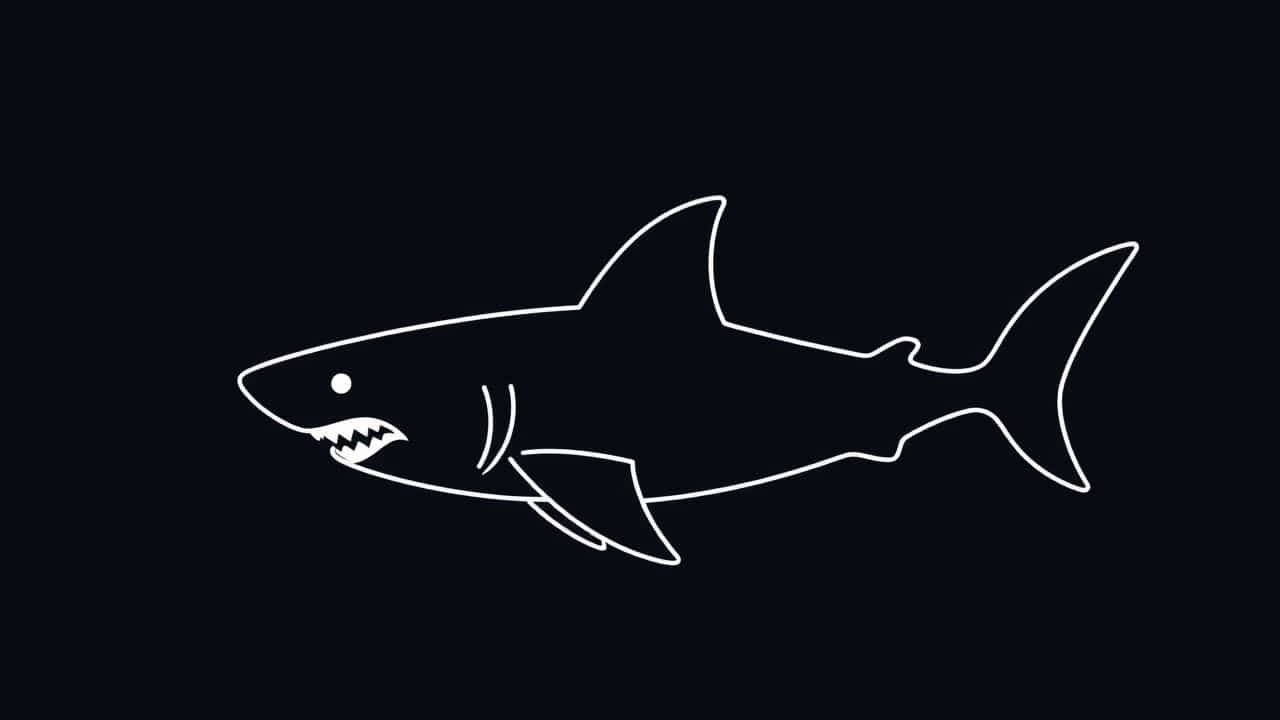 Mse Outfox The Market