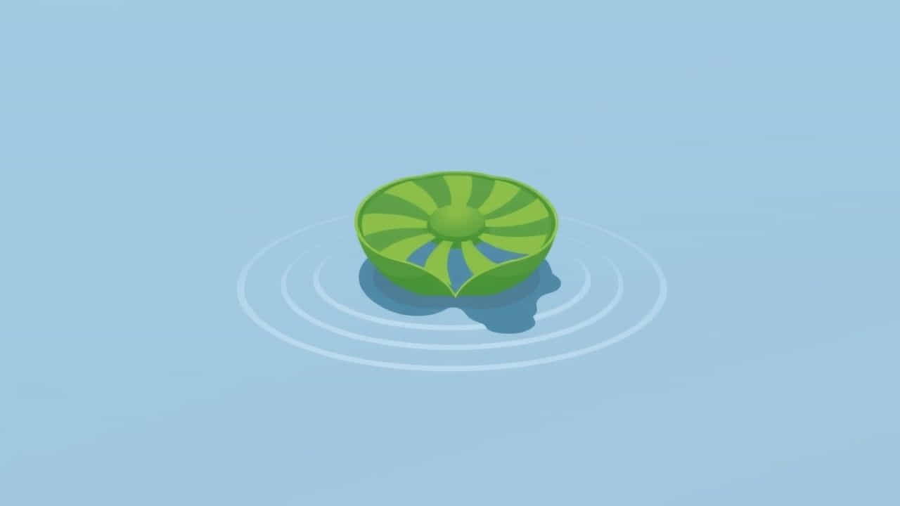 My Account Is Overdrawn