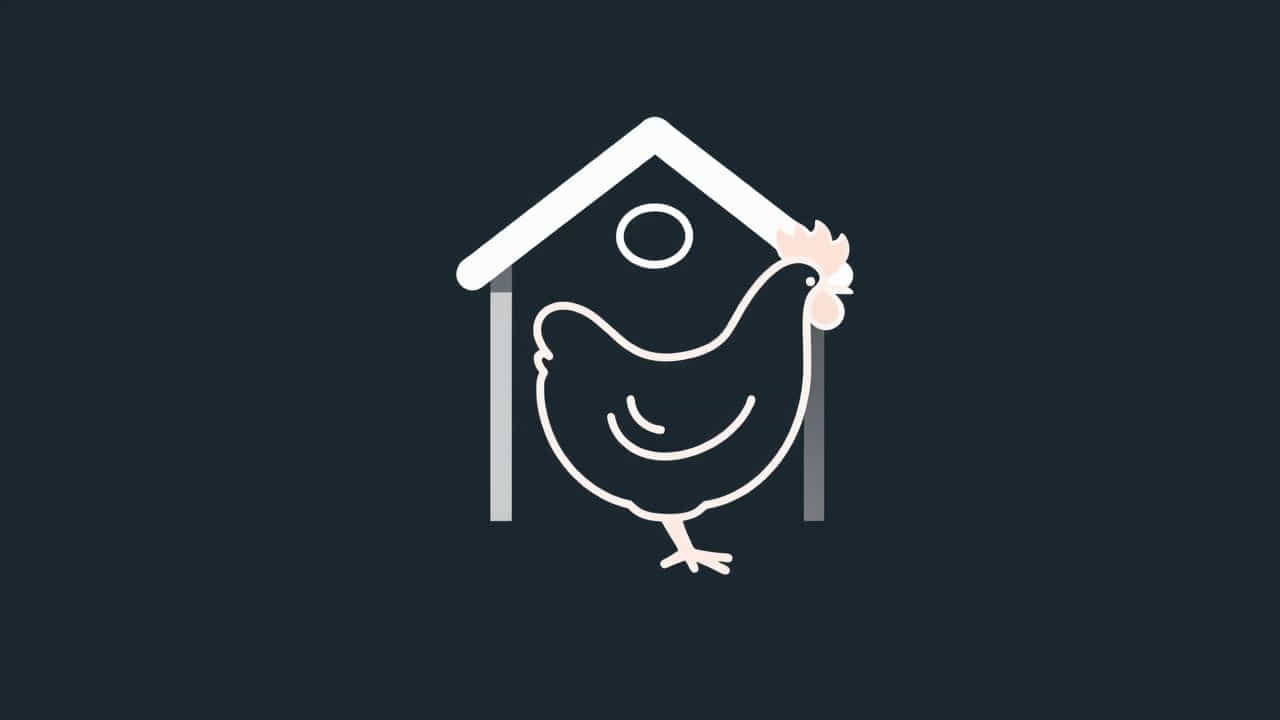 N Space Modern Guestrooms