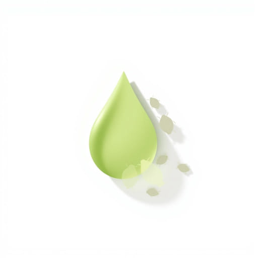 Needs Convenience Logy Bay Road