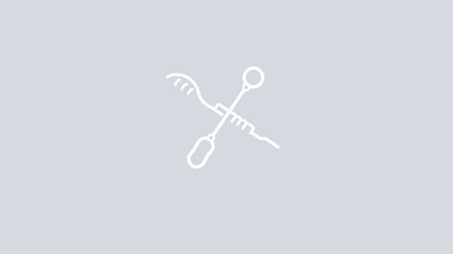 Yeast Mediated Cloning And Oligonucleotide Stitching