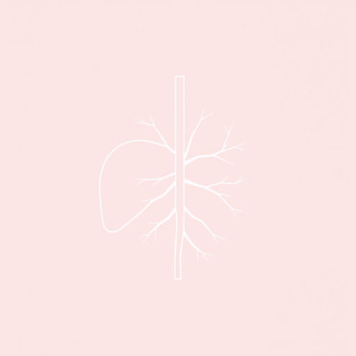 Anatomy Of Hepatic Artery