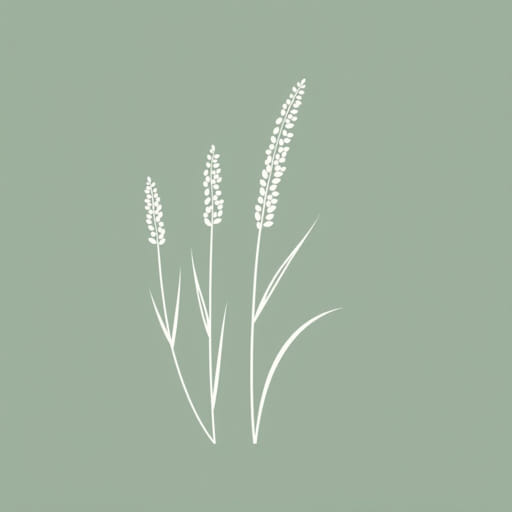 What Is Forage Sorghum