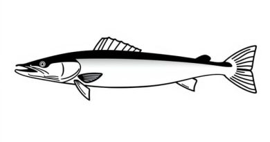 Big Muskellunge Lake Map