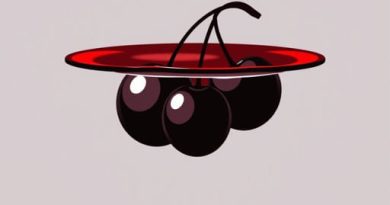 Black Cherries in Kirsch