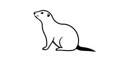 Black Tailed Prairie Dog