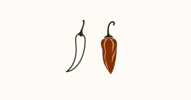 Chile Morita vs Chipotle