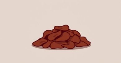 Dark Russet Potato Chips