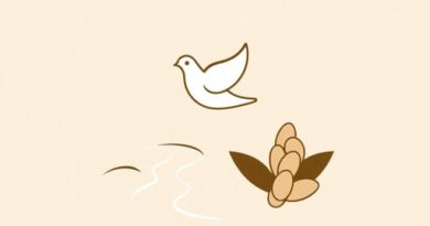 Dove Creek Anasazi Beans