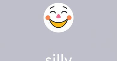 English Meaning of Silly