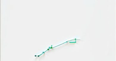 Everbright Net and Twine