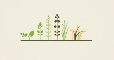 Examples of Forage Crops