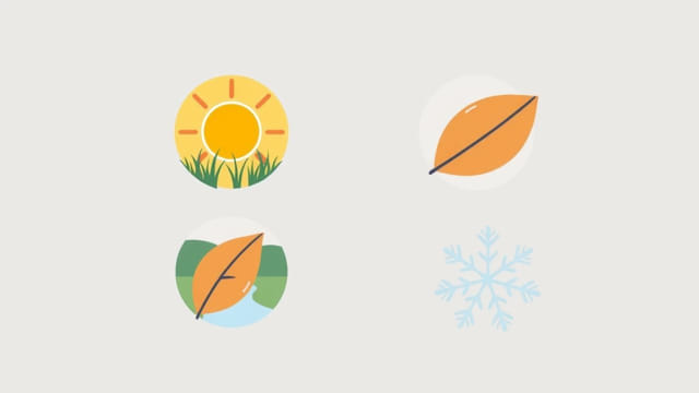 Four Seasons New Orleans