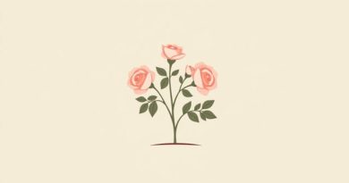 Fruit Market Rosebush MI