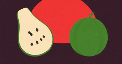 Galia Melon vs Muskmelon