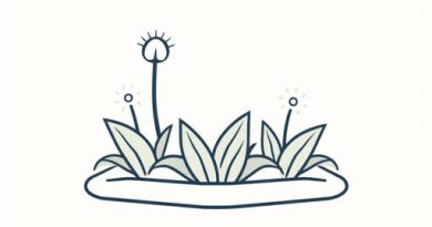 Garden Flower Bed Edging