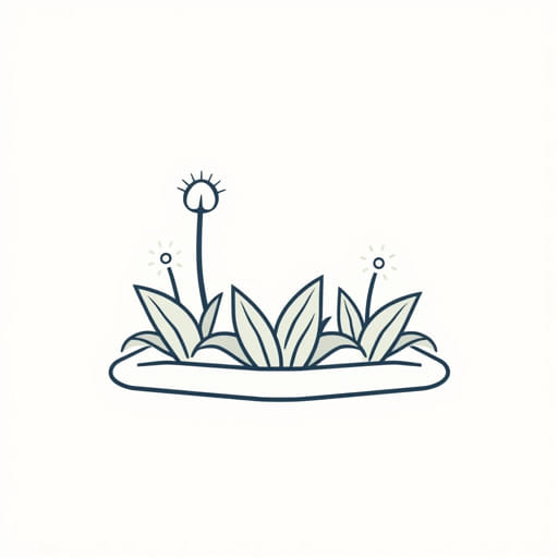 Garden Flower Bed Edging