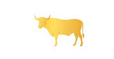 Golden Steer Corkage Fee