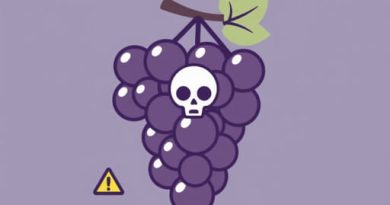 Grapes Poisonous To Dogs