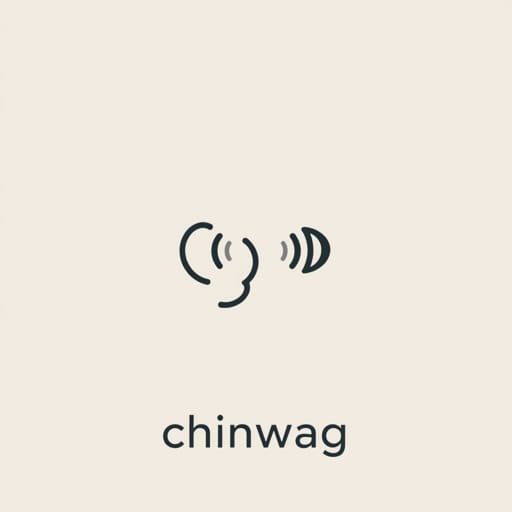 How to Pronounce Chinwag