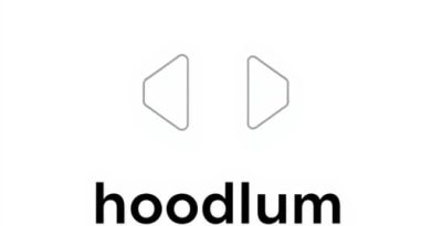 How to Pronounce Hoodlum