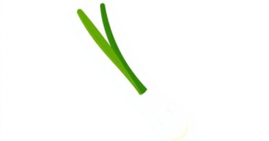 is scallion spring onion