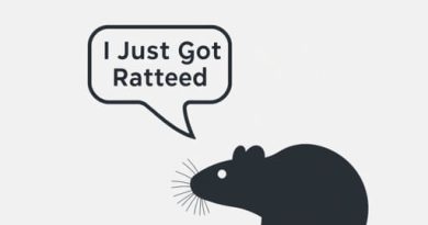 Is Wholly Guacamole Good