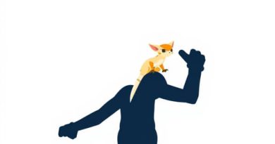 Jak and Daxter Invert Camera