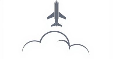 Jal Free Domestic Flight