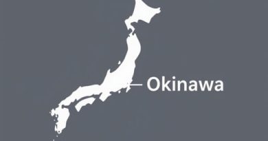 Japan To Okinawa Flights