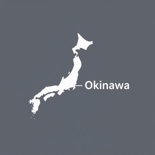 Japan To Okinawa Flights