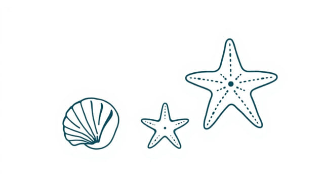 Kann Man Seesterne Essen