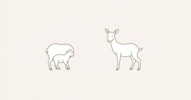 Lambing and Kidding Days