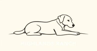 Lazy Dog Highlands Ranch