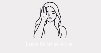 Leave Britney Alone Meme