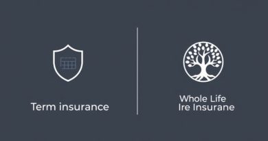 Life Insurance Term vs Whole