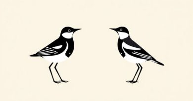 Male And Female Bobolink