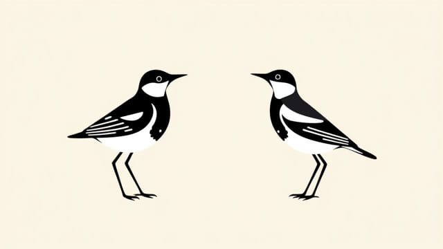 Male And Female Bobolink