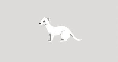 Marvin the Weasel Elkind