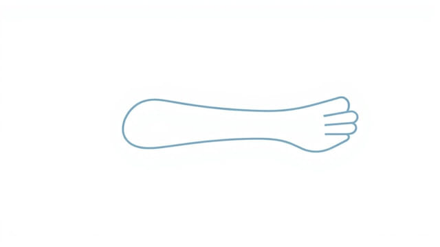 Meaning of Distal in Anatomy