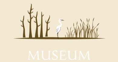 Museum of the Everglades