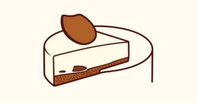 No Bake Carnivore Cheesecake