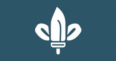 No Cornstarch What Can I Use